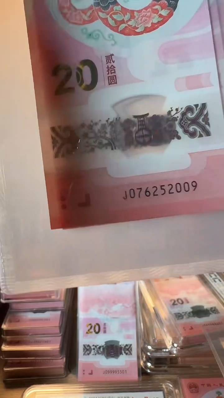 【闪购商品】塑料蛇年纪念钞-年份号2009-随机评级
