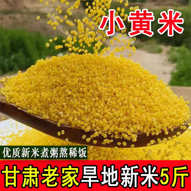 甘肃农家黄小米养胃油糯小米粥五谷杂粮当季新粮熬粥米油杂粮