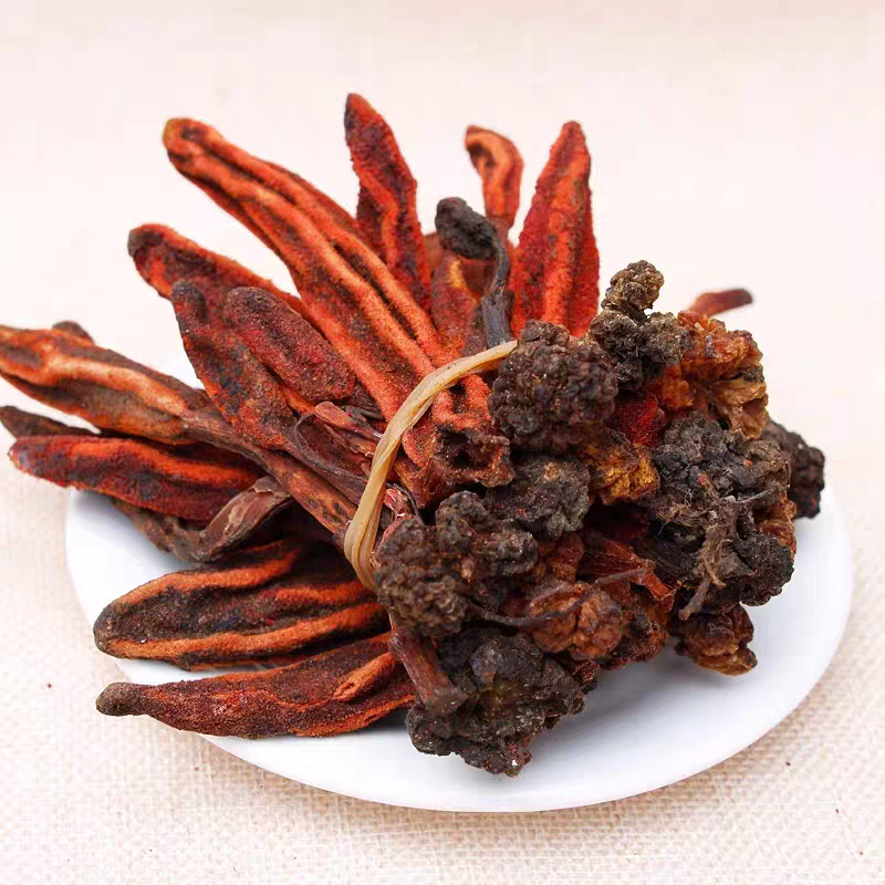 云南高原 回椿草 特惠处理