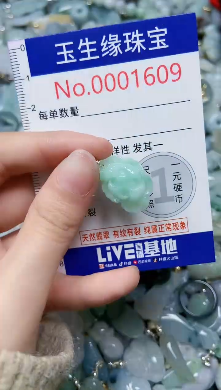 【闪购商品】翡翠颈饰未镶嵌闪购00001609