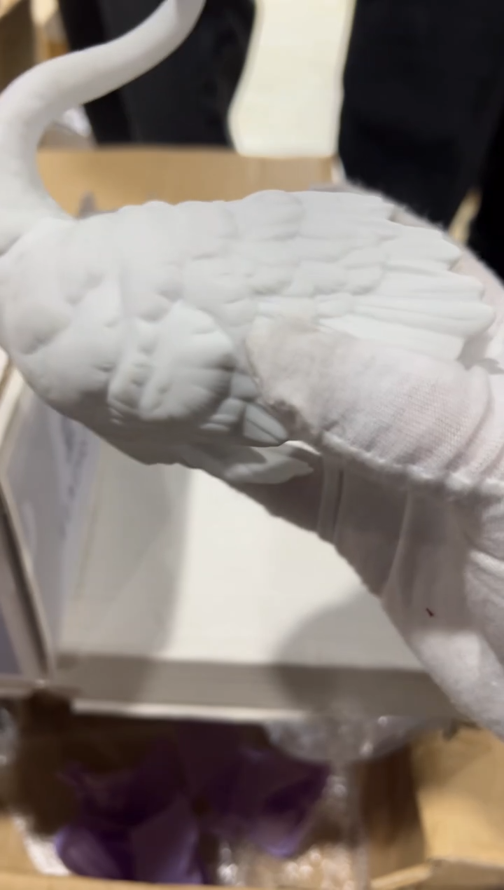 【闪购商品】瓷片e440好好好好好好