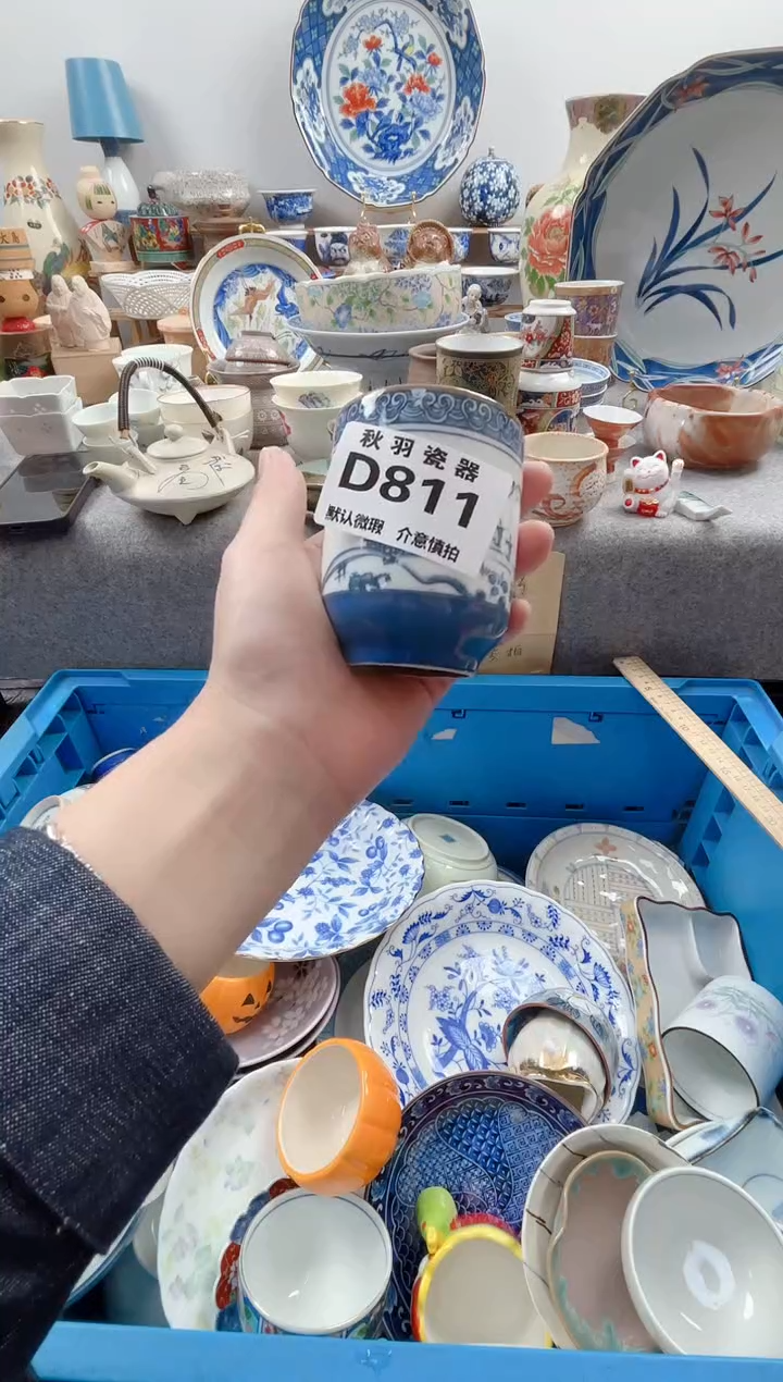 日式用****3默认微瑕秋羽D811