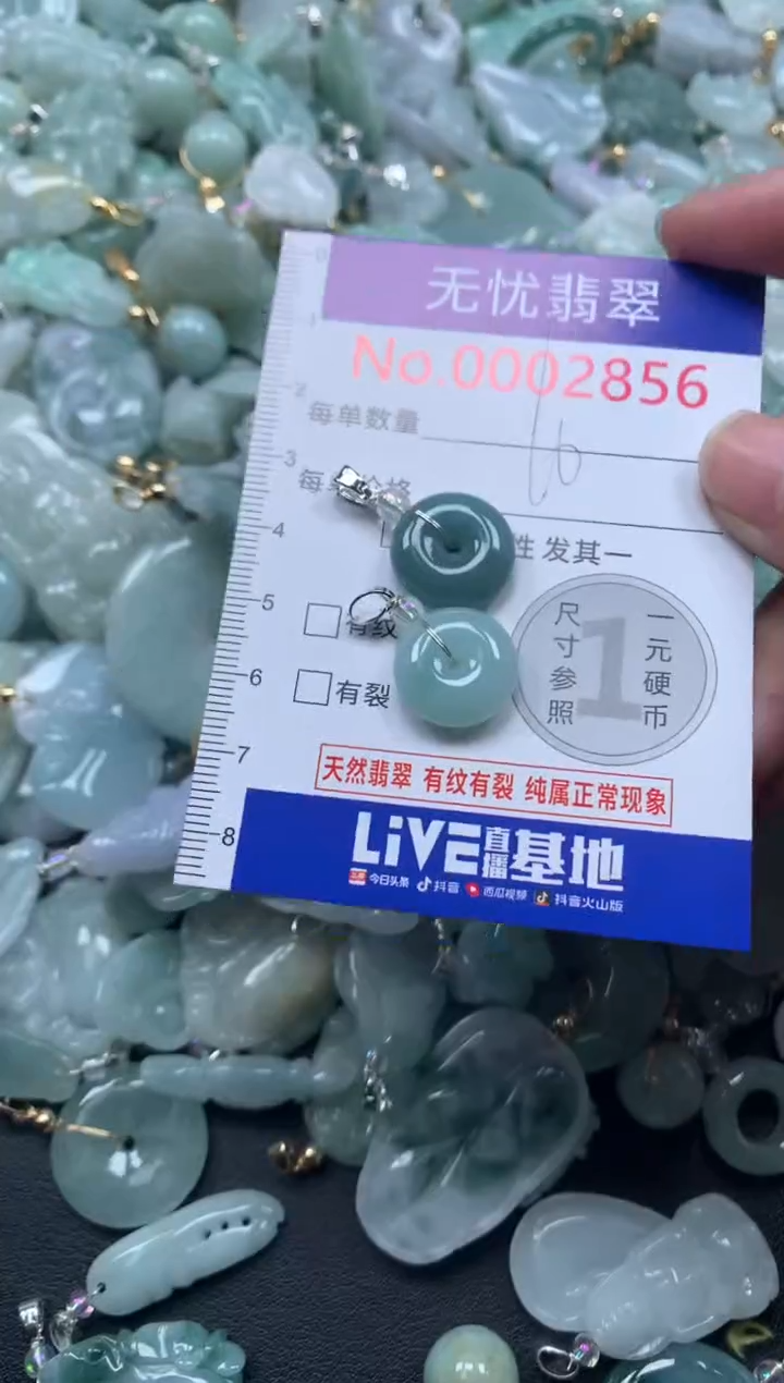 颈饰未镶嵌翡翠2856