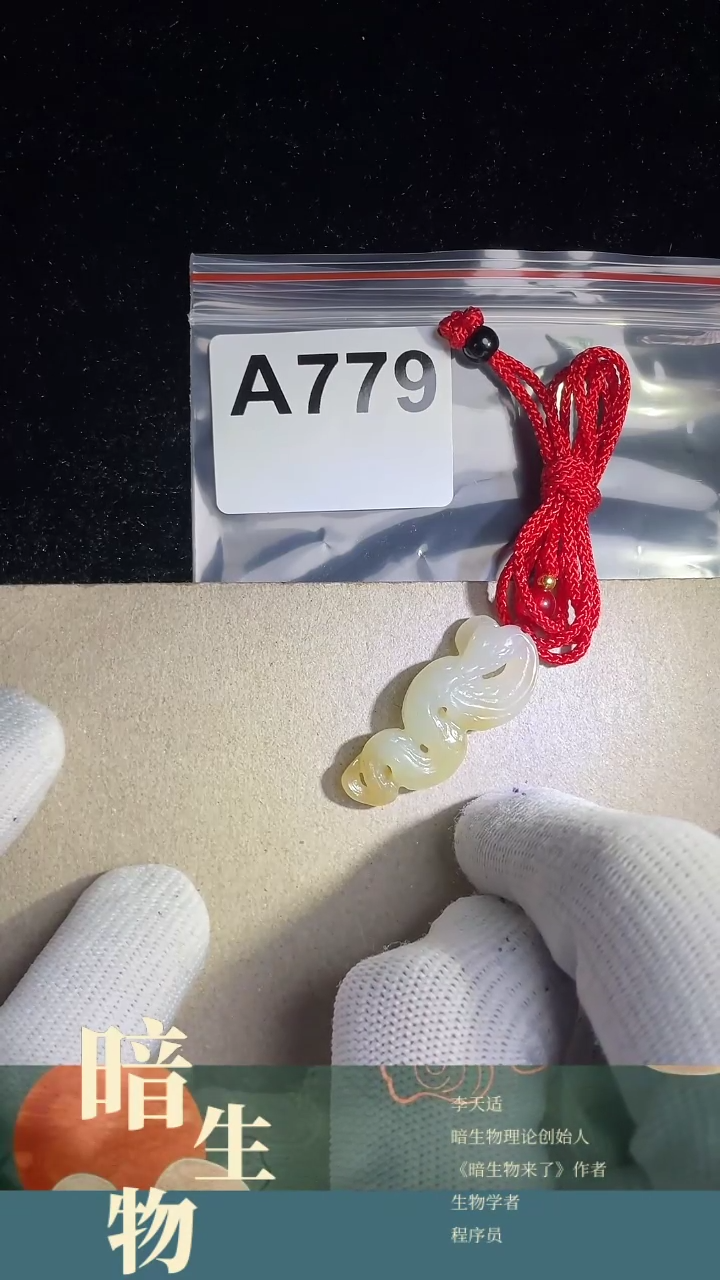 【闪购商品】和田玉吊坠(赠链)未镶嵌779