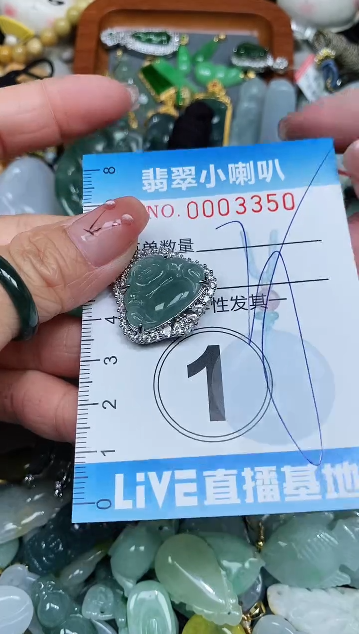 【闪购商品】翡翠颈饰未镶嵌闪购0003350多样性发其一
