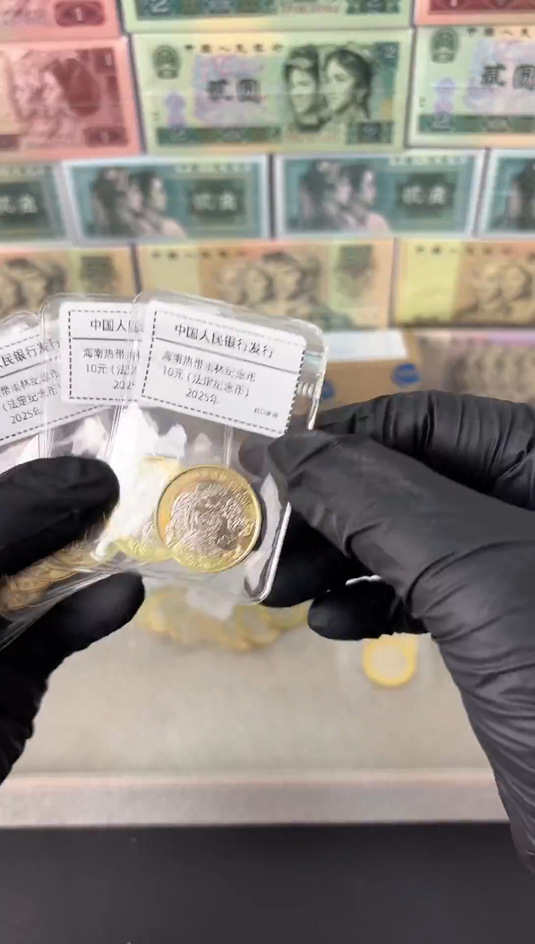 海南热带雨林币 单枚 面值10元