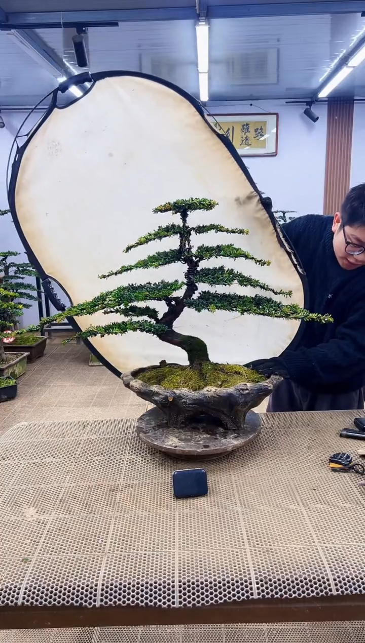 【闪购商品】0000000