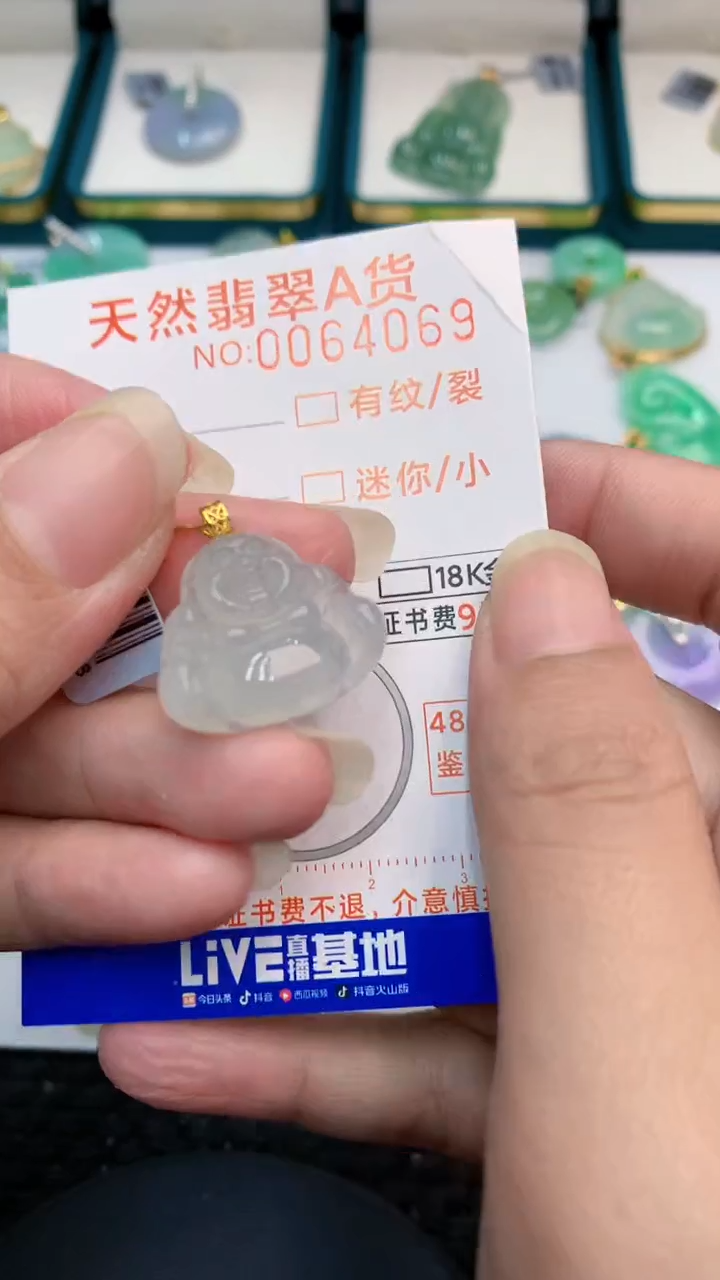 【闪购商品】翡翠颈饰18K金镶嵌            8