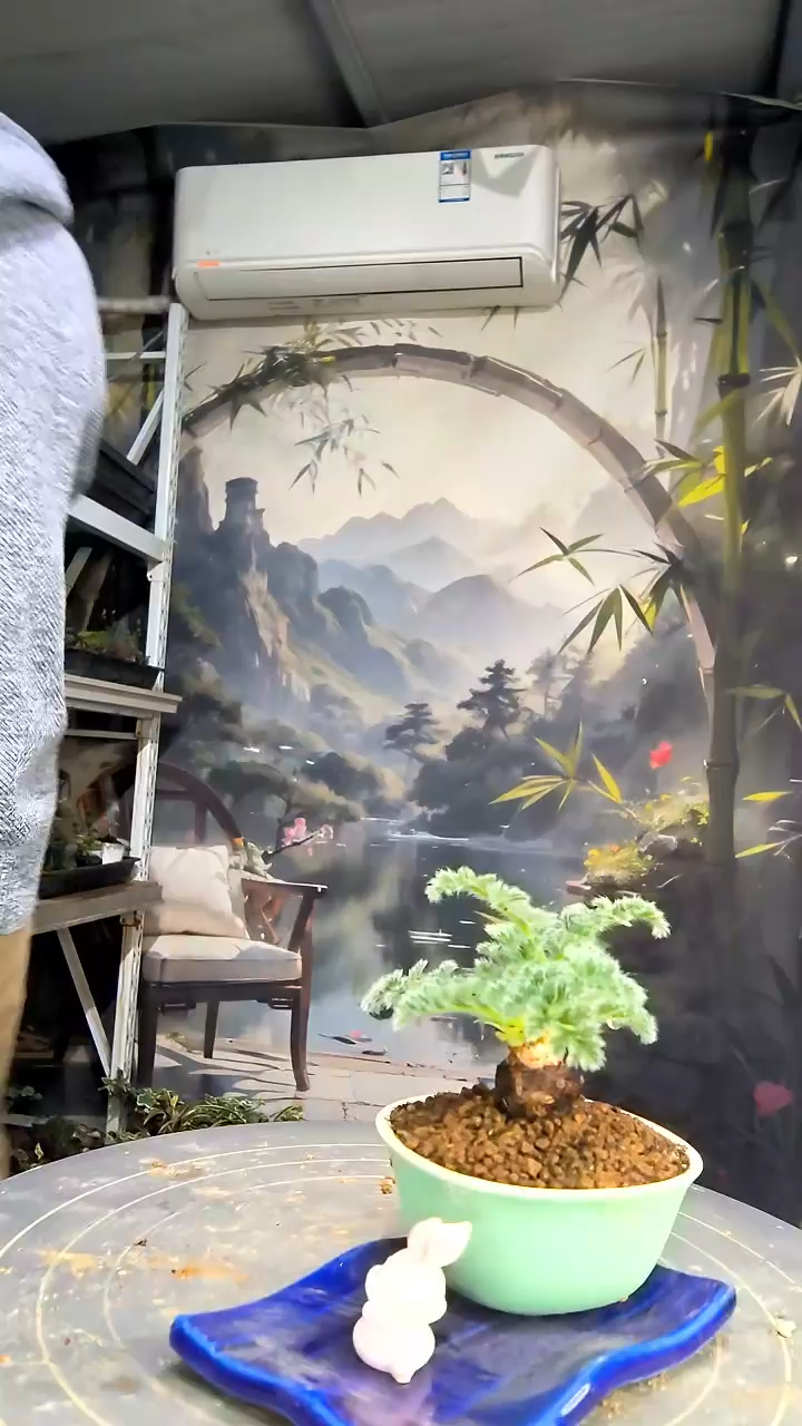 艾*?中青园艺一物一拍花184