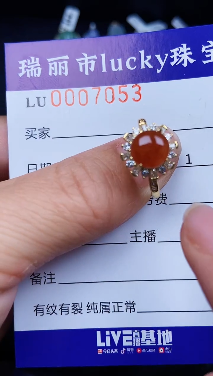 翡翠银S925镶嵌颈饰7053