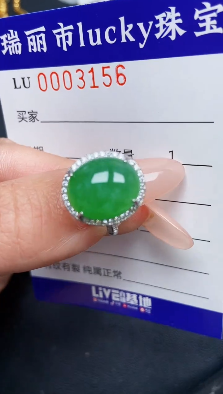 【闪购商品】翡翠颈饰银S925镶嵌3156