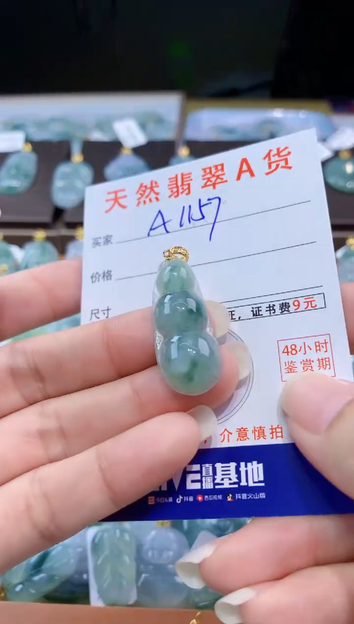 颈饰未镶嵌翡翠天然翡翠A货挂件 