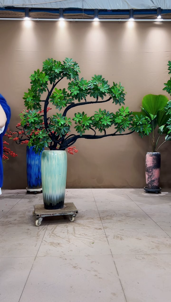 无花朵拾*者鲜活绿植一物一拍
