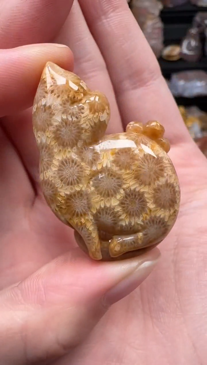 颈饰未镶嵌硅化珊瑚（珊瑚玉）146