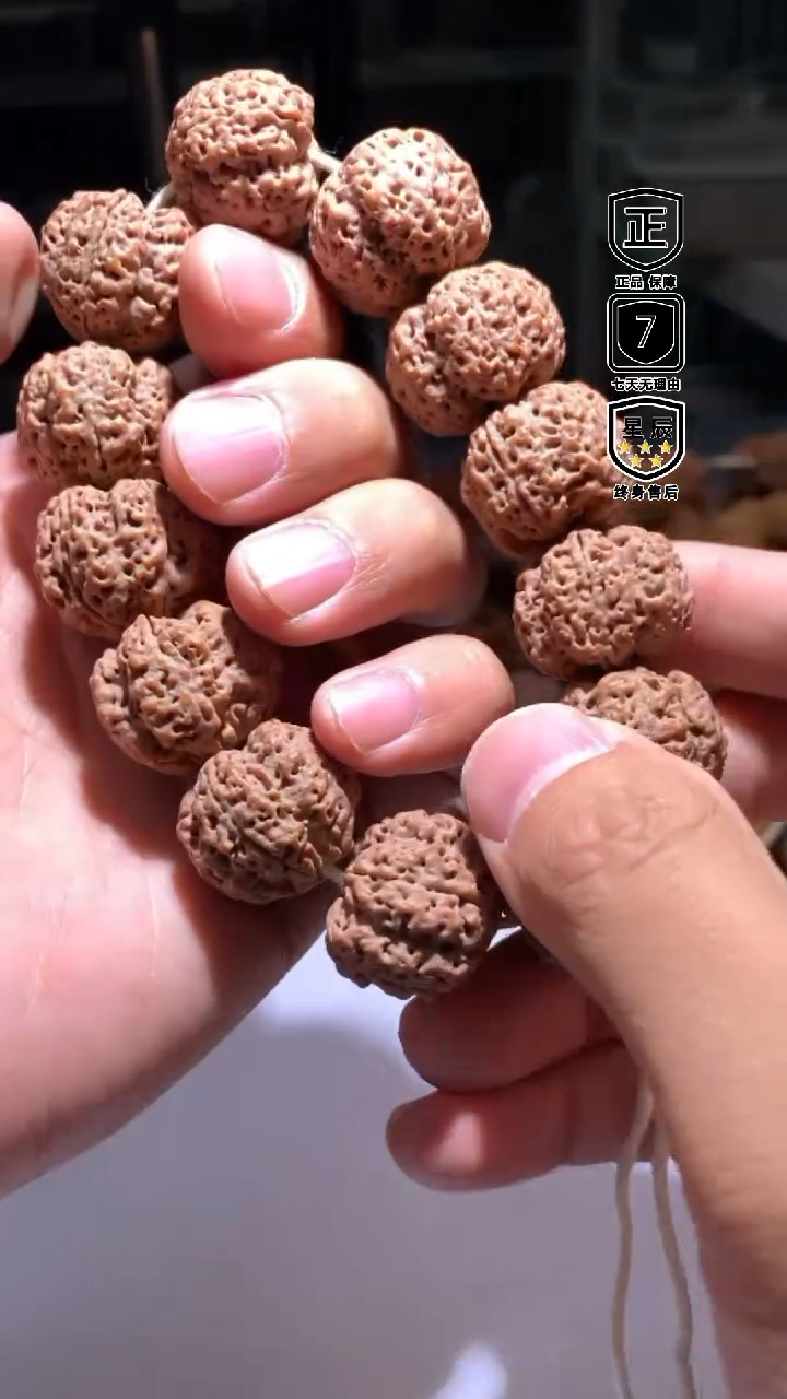 金刚菩提手串049