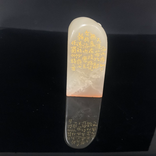 篆刻彭一博X55003-Z海内存知己（10）