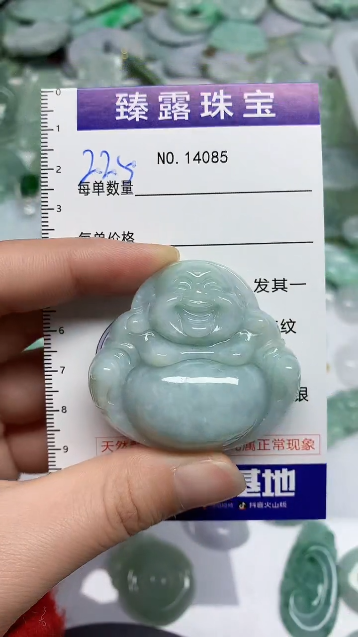 【闪购商品】翡翠颈饰未镶嵌臻露珠宝225