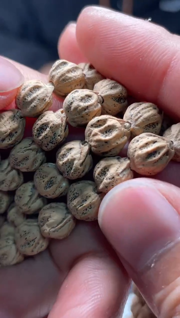 手串金刚菩提百香籽长串22