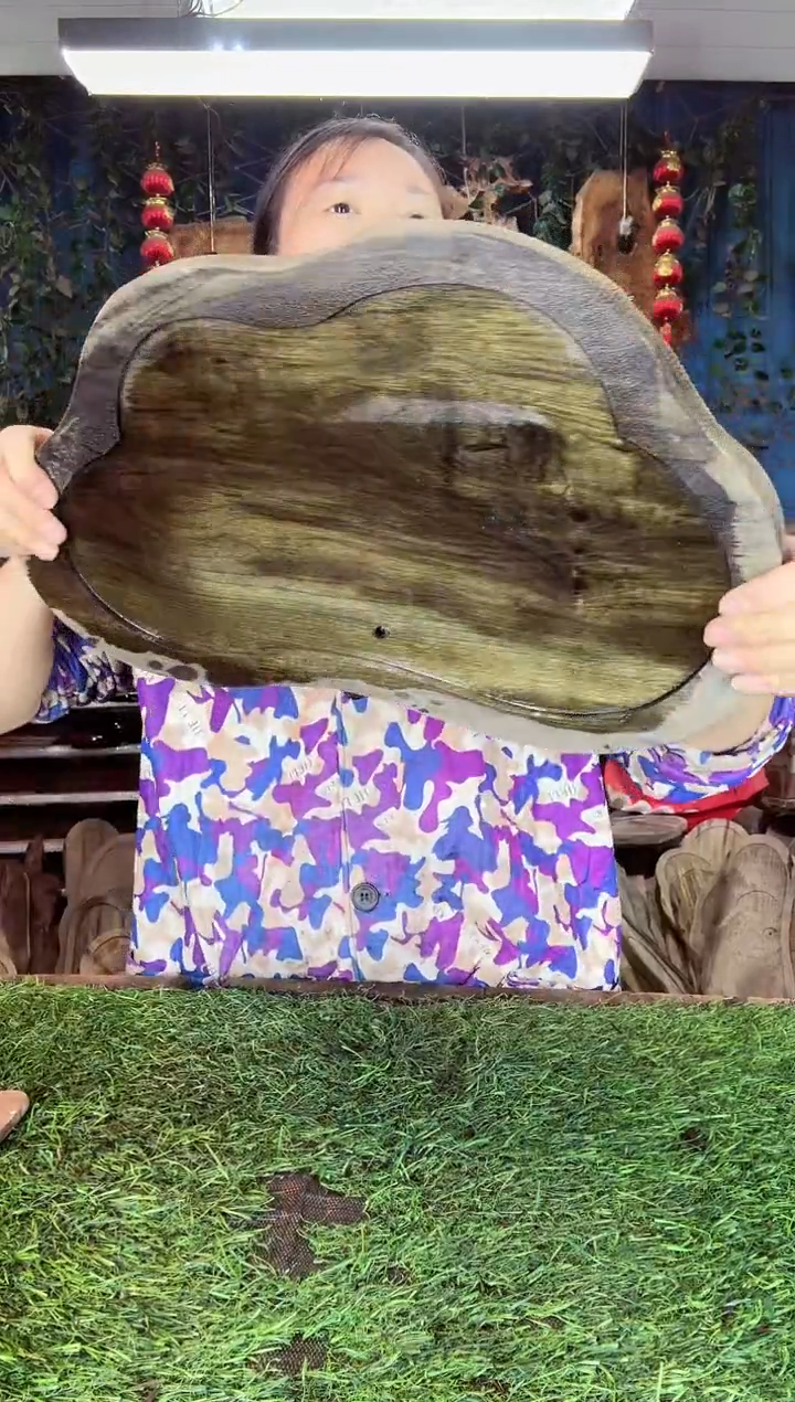 金丝楠小叶桢楠26