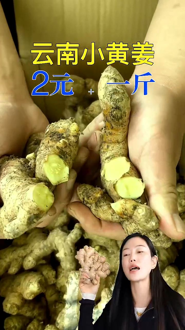小黄姜中国大陆小黄姜