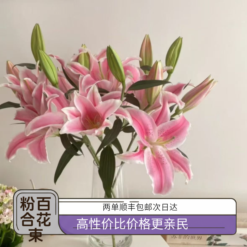 粉百合5枝10头 常州鲜花批发直播 江浙沪皖次日达