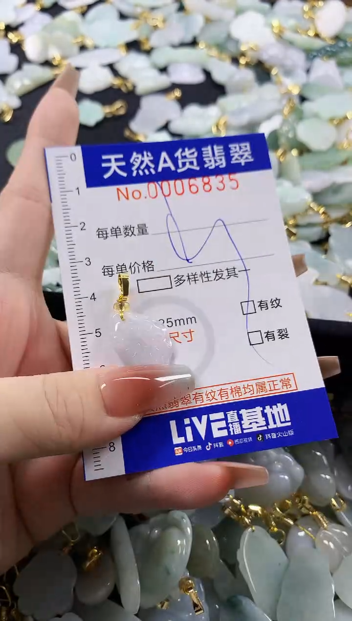 颈饰未镶嵌翡翠天然A货翡翠