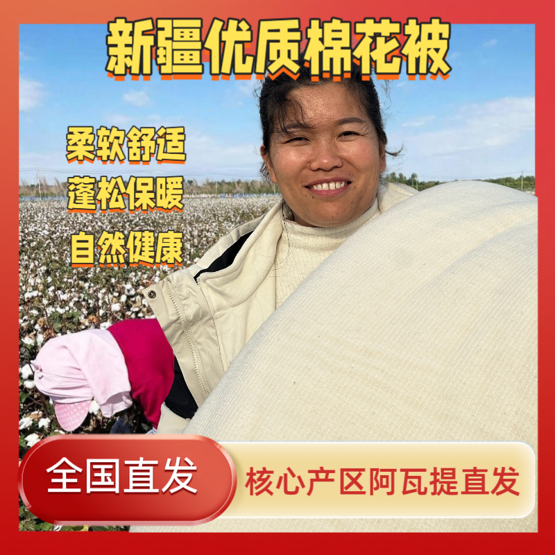 【网套被子定制尺寸专用链接】新疆棉花被学生棉被
