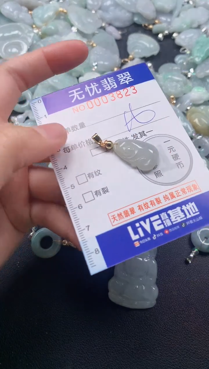 颈饰未镶嵌翡翠3823