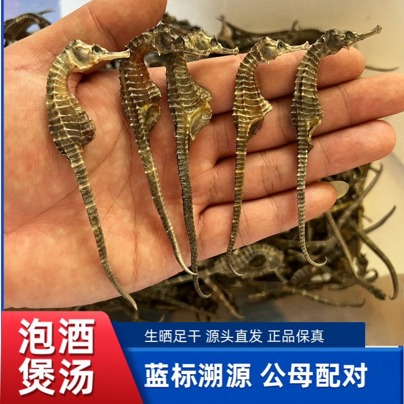 【正品保真】马鱼干馬 规格0.5-1克 煲汤泡酒汤包 高高汤 美味