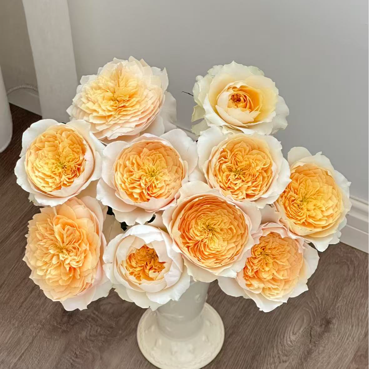 【一品花集】【艾菲】单头玫瑰 云南昆明基地直发家用鲜花