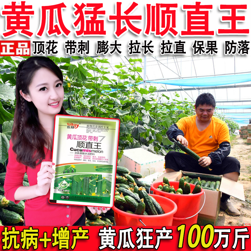 黄瓜专用叶面肥黄瓜顶花带刺顺直嫩长黄瓜拉直拉长素增收高产肥料