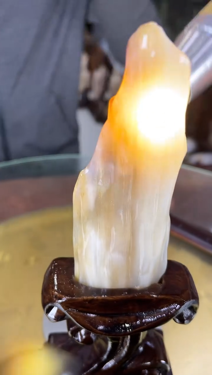 未镶嵌珠宝奇石硅化玉缅甸天然树化玉摆件