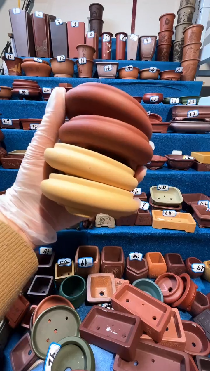 【闪购商品】紫砂紫砂花盆