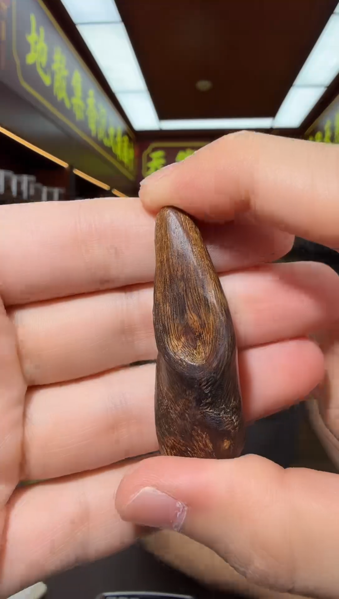 沉香吊坠57号芽庄多样性发一