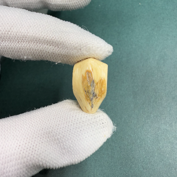 H5691天然猛犸牙鲨鱼背蓝眼三通配饰 支持鉴定 假一罚四