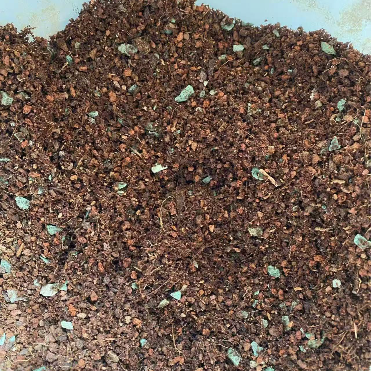 妮子多肉，自配控养土植物专用颗粒小玥儿多肉专用九尾狐颗粒土