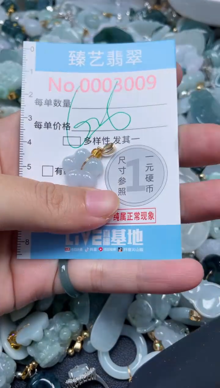 颈饰未镶嵌翡翠3009