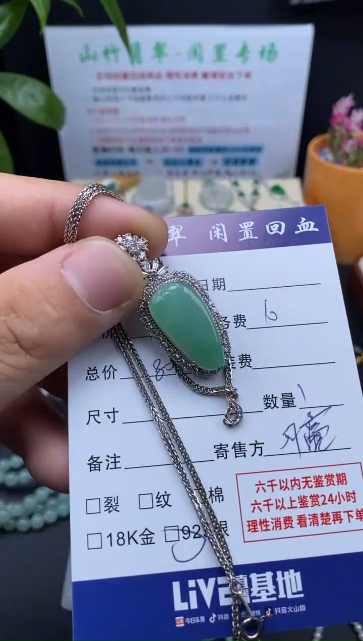 颈饰银S925镶嵌翡翠3001046