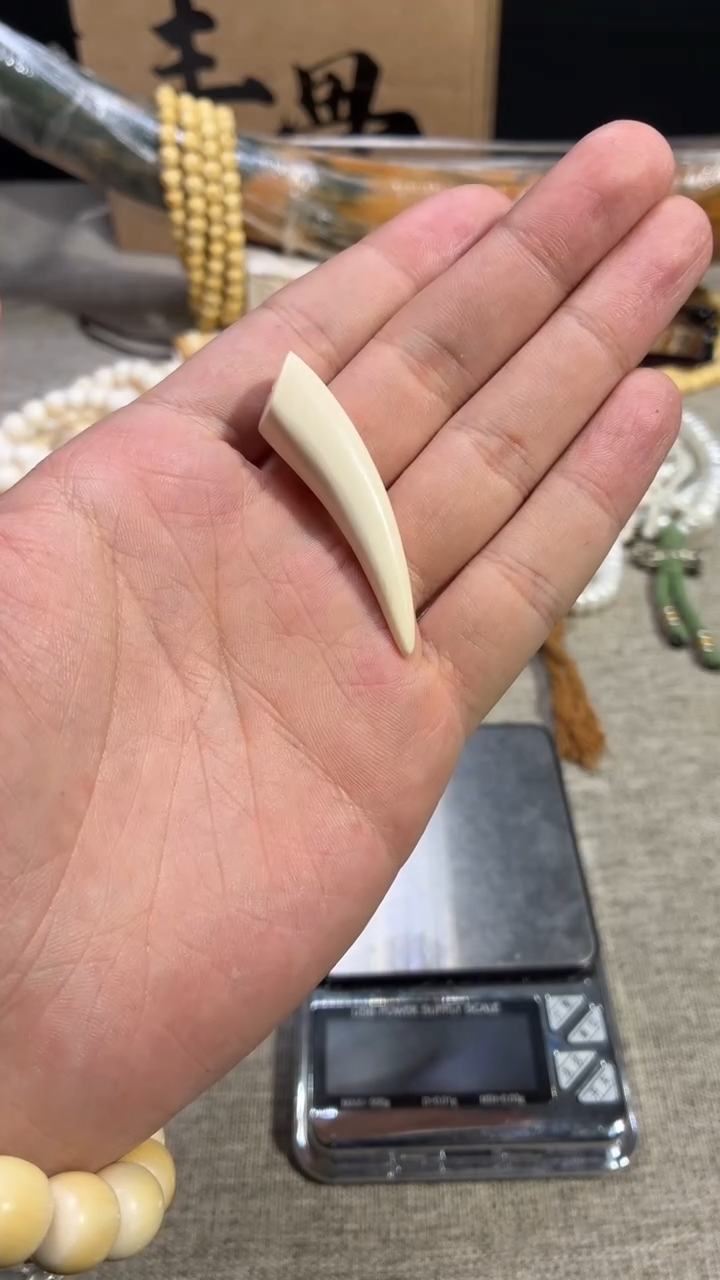手串/手链/手镯猛犸象牙Y755 纯肉牙尖