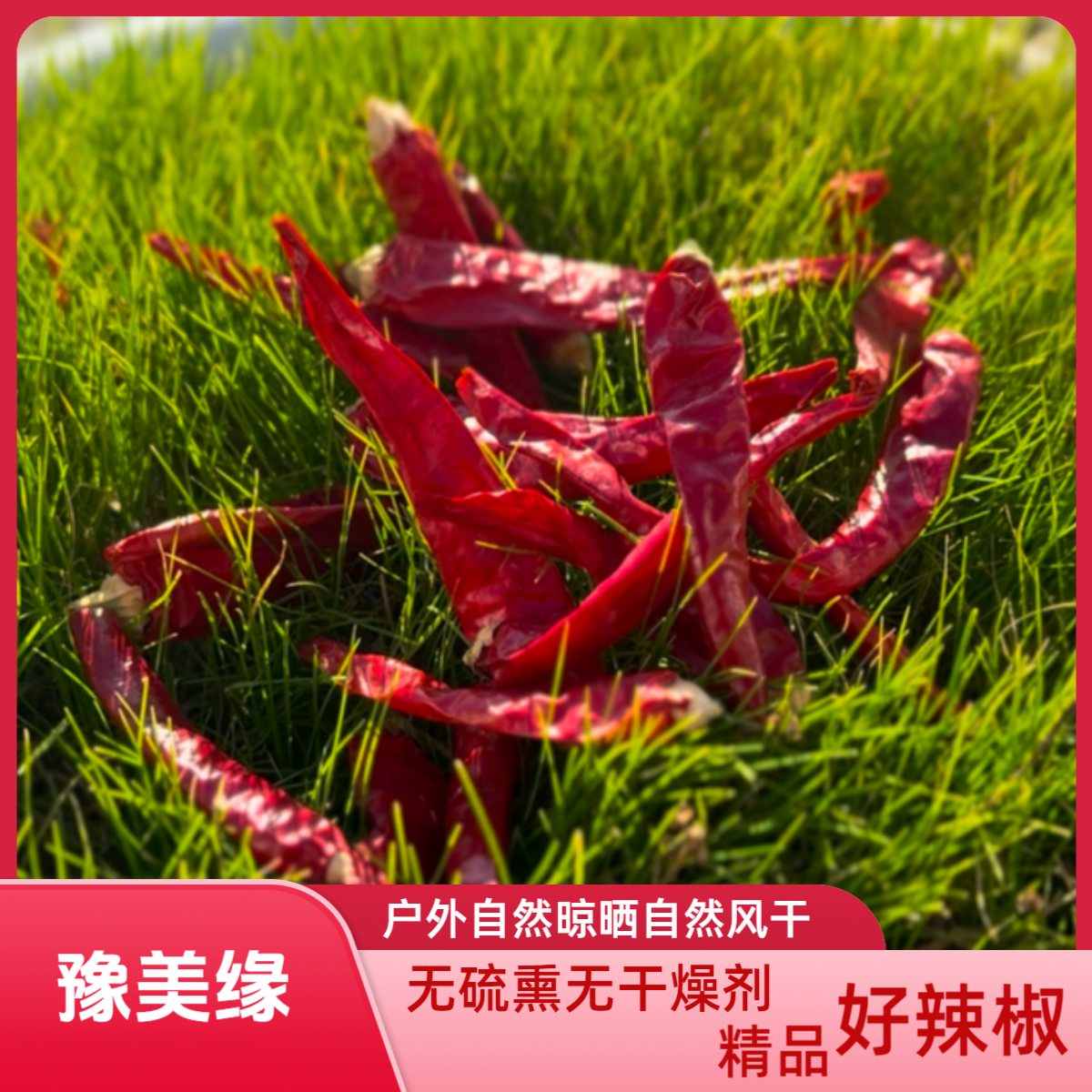 【实惠首选】高辣829精品干辣椒炒菜必备 增味必备料理农家
