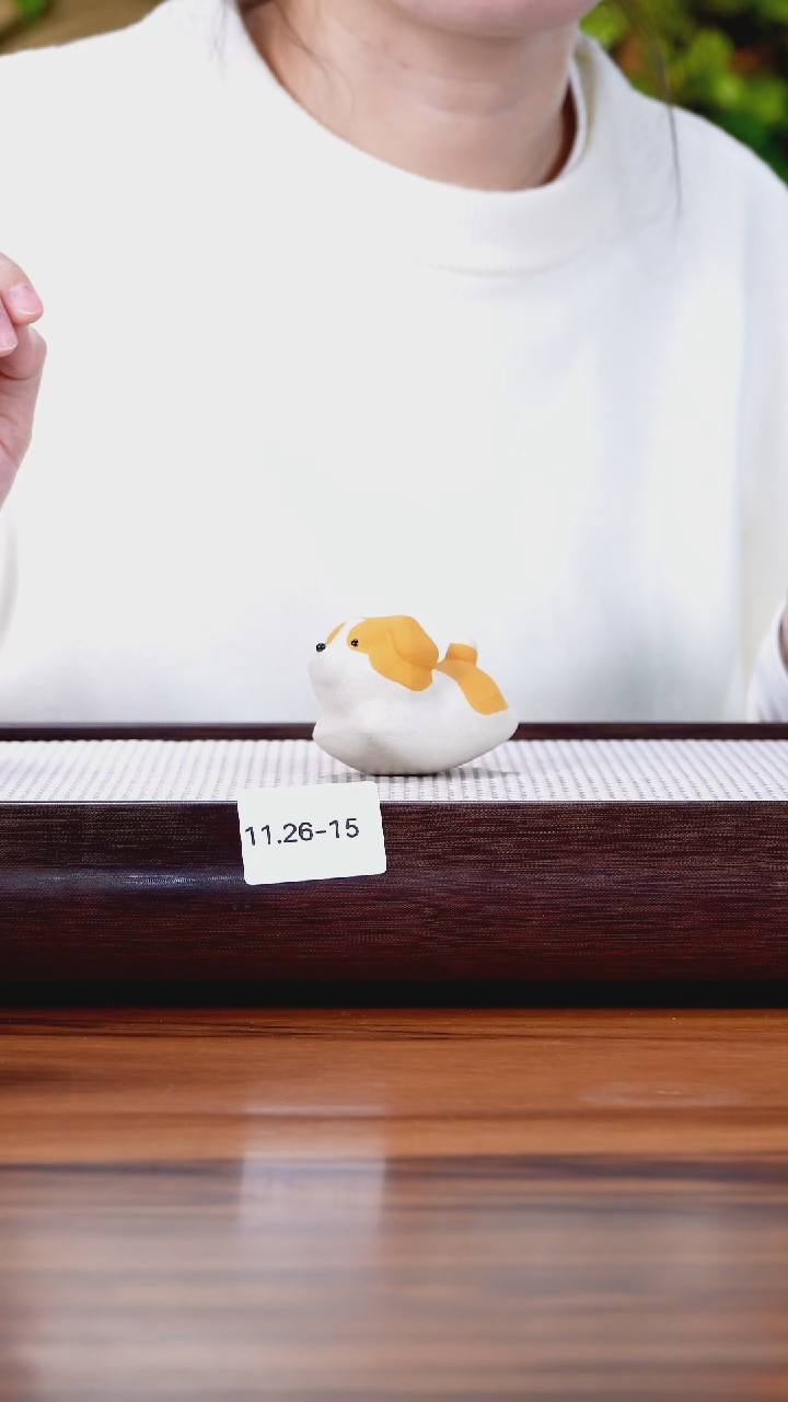 茶壶紫砂11.26-15 小狗