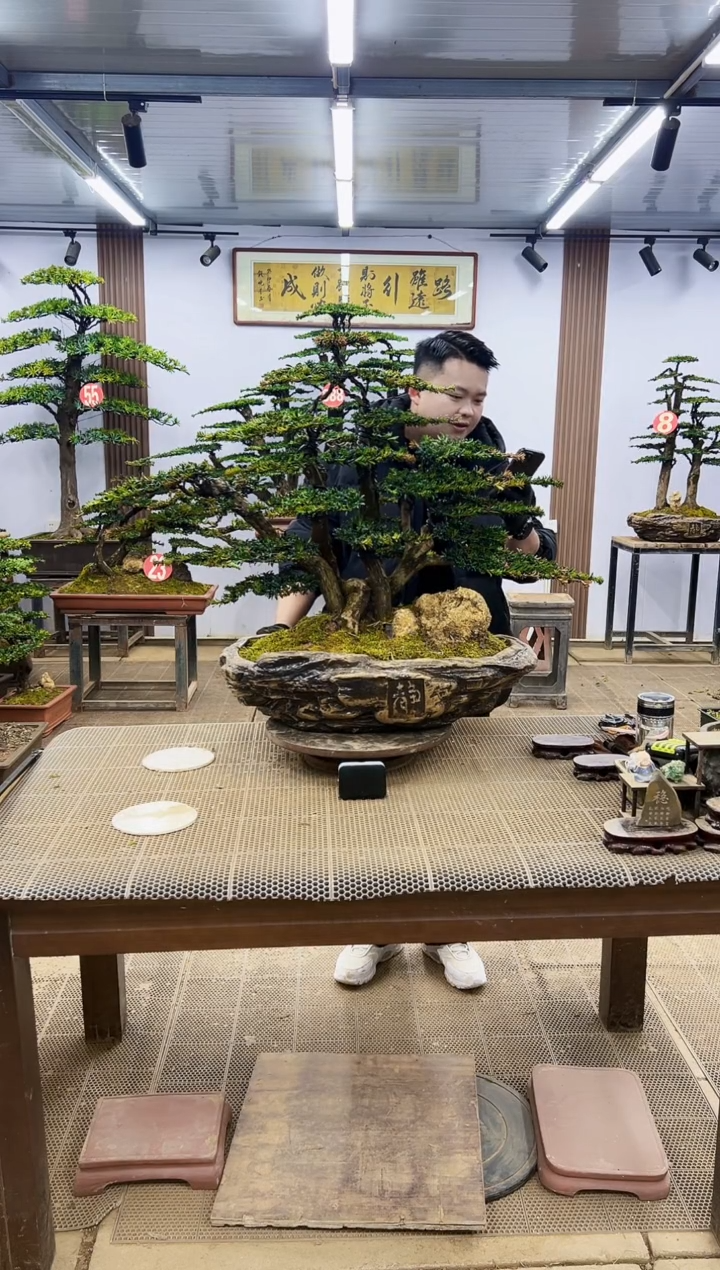 【闪购商品】000000000