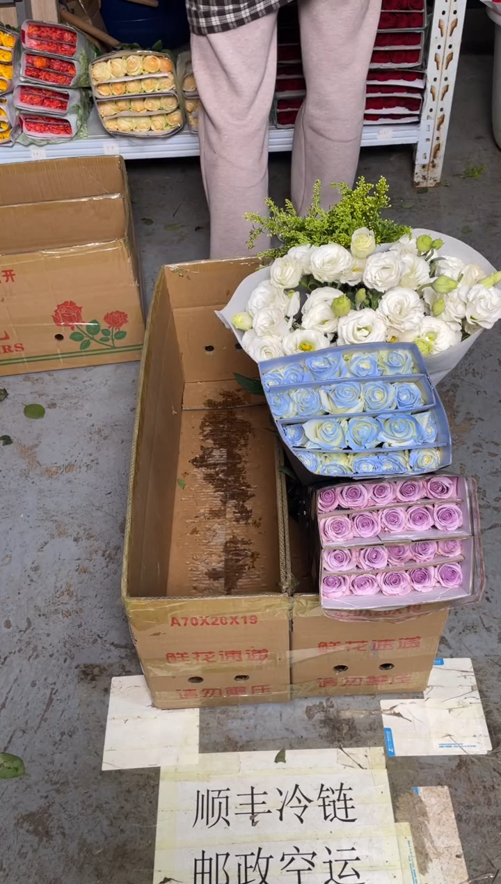 海洋之歌20枝+碎冰蓝20枝+白桔梗800克+黄莺