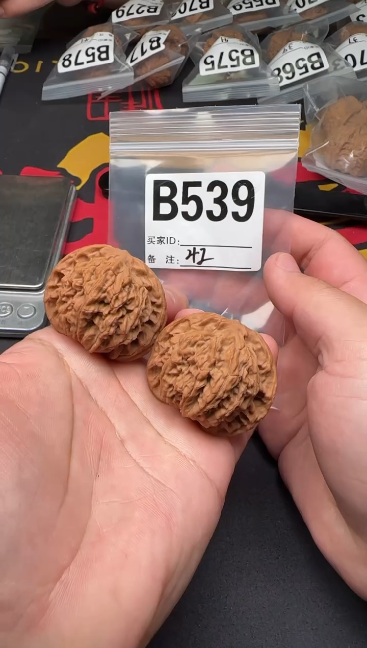 吊坠文玩核桃蟠龙纹42-B539