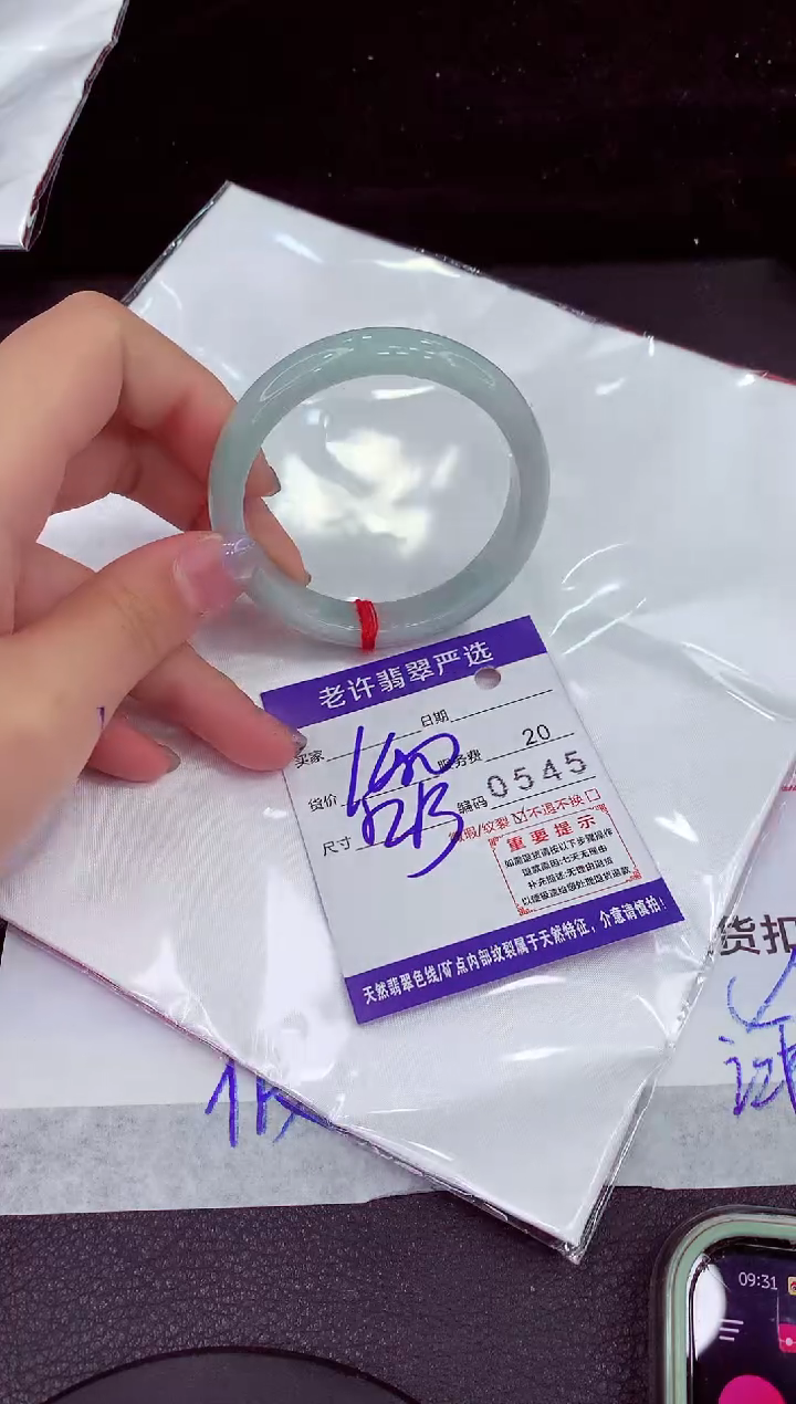 未镶嵌手镯翡翠1