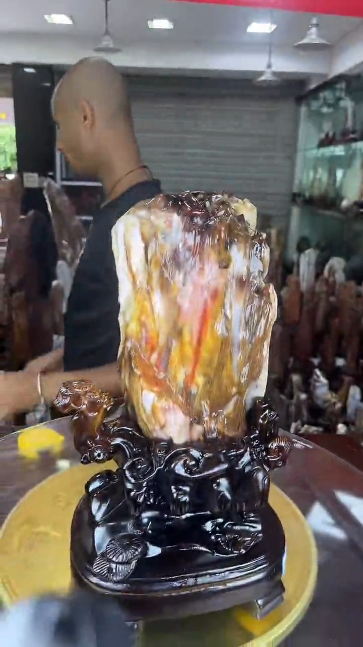 硅化玉珠宝奇石未镶嵌缅甸天然树化玉