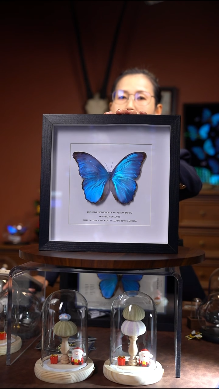 N700大蓝闪蝶10寸方框微瑕