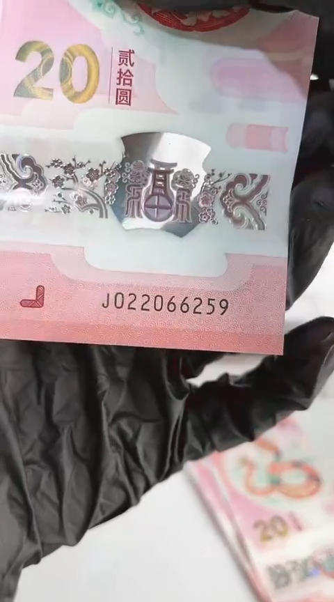 【闪购商品】塑料蛇钞单张号码022066259