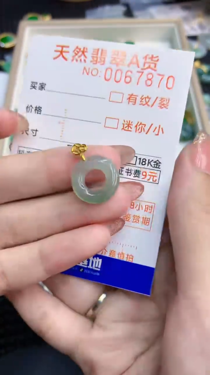 【闪购商品】翡翠银S925镶嵌颈饰            8