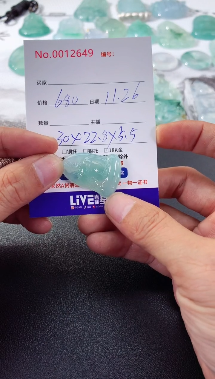 颈饰未镶嵌翡翠素衣